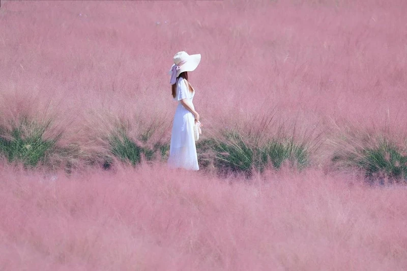 Photo／IG@3more_hi4授權提供