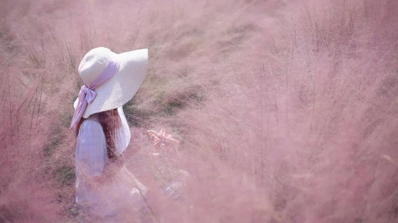 Photo／IG@3more_hi4授權提供