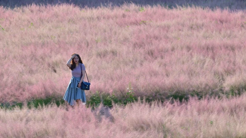 Photo／IG@3more_hi4授權提供