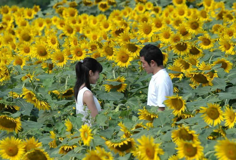 竹內結子與前夫中村獅童共演電影《現在很想見你》。