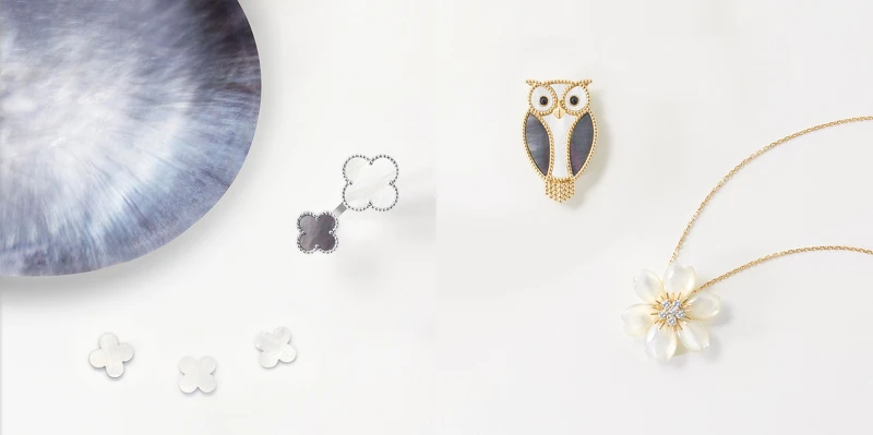 左圖:Magic Alhambra珍珠母貝指間戒,價格店洽;右圖:Lucky Animals貓頭鷹珍珠母貝縞瑪瑙胸針,約NT195,000、Rose de Noël黃K金珍珠母貝吊墜胸針,約NT456,000。 左圖:Magic Alhambra珍珠母貝指間戒,價格店洽;右圖:Lucky Animals貓頭鷹珍珠母貝縞瑪瑙胸針,約NT195,000、Rose de Noël黃K金珍珠母貝吊墜胸針,約NT456,000。