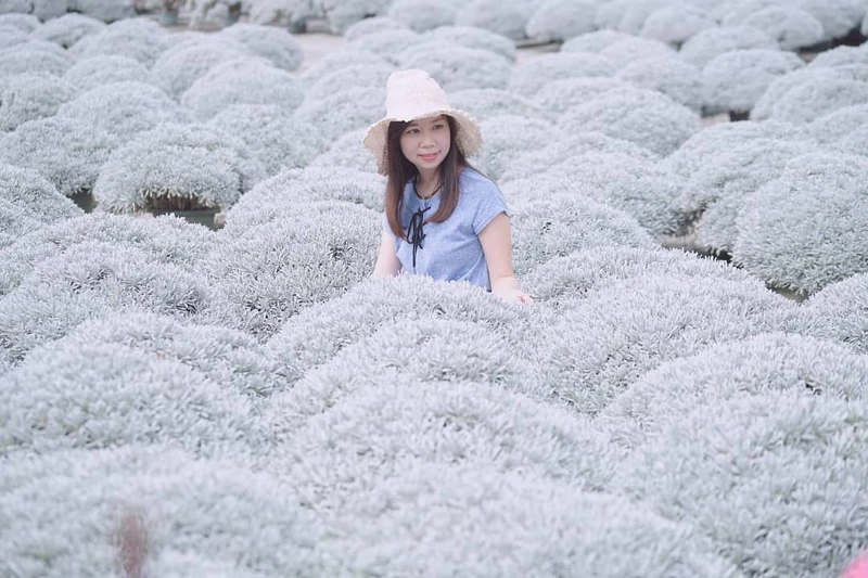 Photo/IG@shilinfan 授權提供 Photo/IG@shilinfan 授權提供