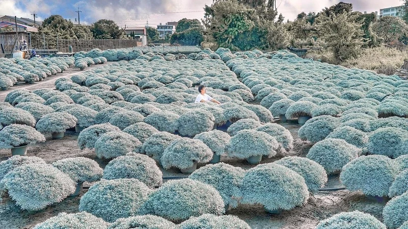 Photo/IG@beckhamhong66 授權提供 Photo/IG@beckhamhong66 授權提供