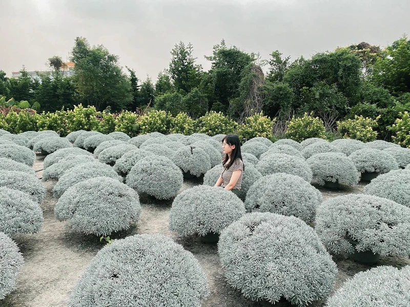 Photo/IG@molly_zz0129授權提供 Photo/IG@molly_zz0129授權提供