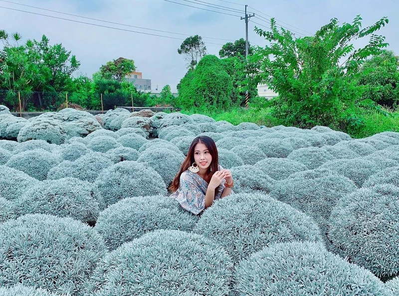 Photo/IG@linyuki17 授權提供 Photo/IG@linyuki17 授權提供