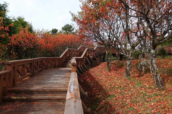 Source: IG @hsiehjoey 授權KLOOK轉載