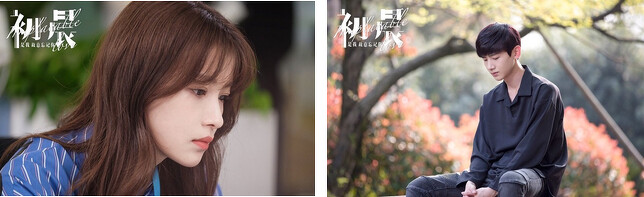 Photo/與晨同光官方微博 Photo/與晨同光官方微博