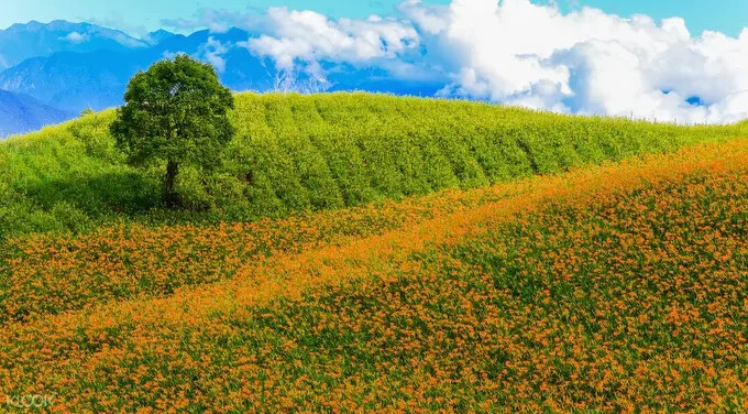 Source: KLOOK Source: KLOOK