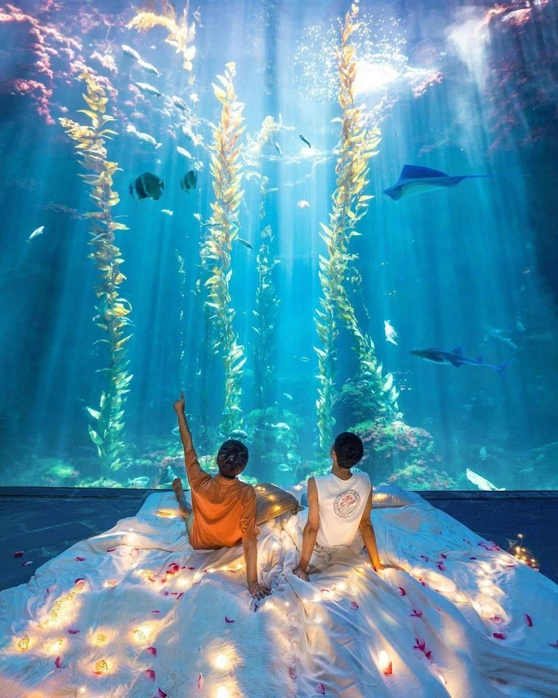 Photo/IG@ygt1016 Photo/IG@ygt1016