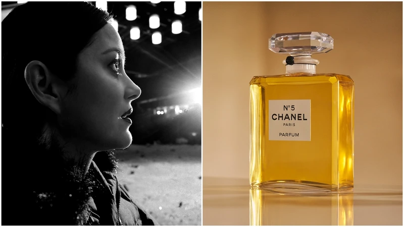 全新形象影片向香奈兒 N°5 香水致敬，「美」是獨特而發自根本的選擇，帶來歡愉與平等。