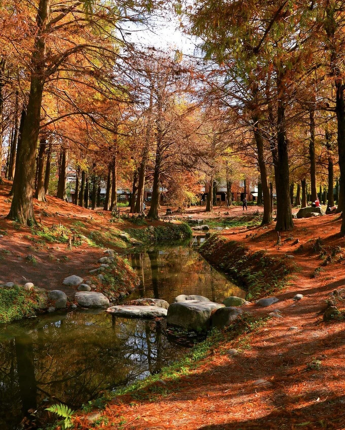 Source: IG @waynesun_tw 授權KLOOK轉載