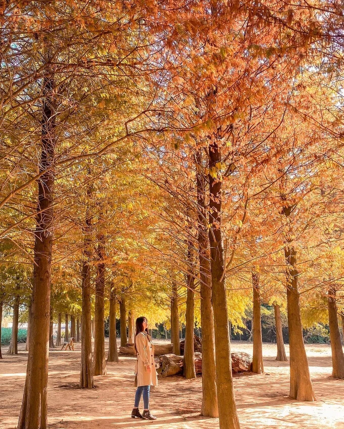 Source: IG @guiefei 授權KLOOK轉載