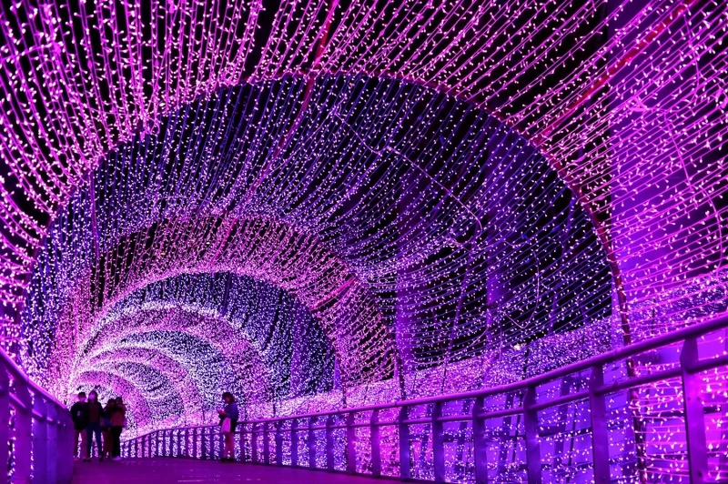 奇幻光廊 奇幻光廊