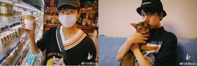 Photo/張耀微博 Photo/張耀微博