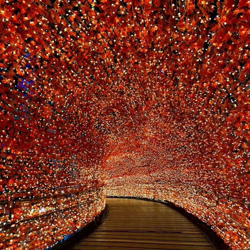 「香榭光廊」實拍 「香榭光廊」實拍