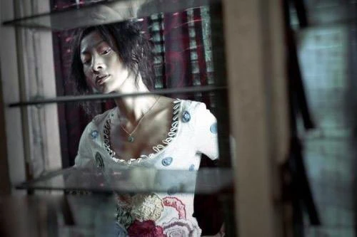 白靈2004年《三更2餃子》飾演媚姨