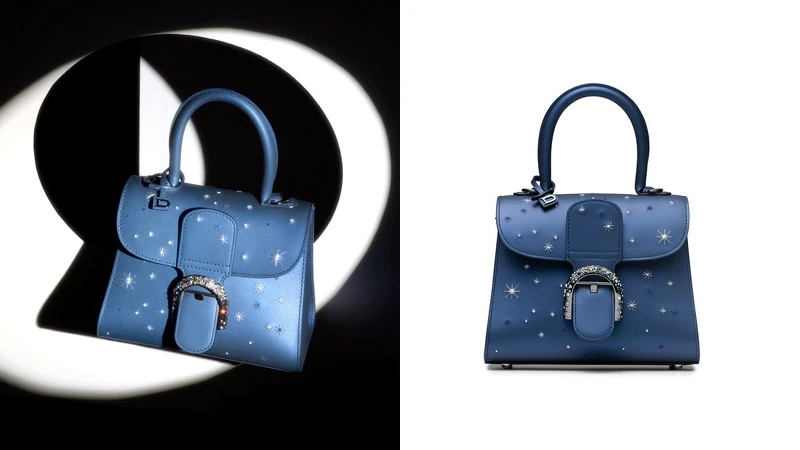 Delvaux月光小型手袋，NT193,300