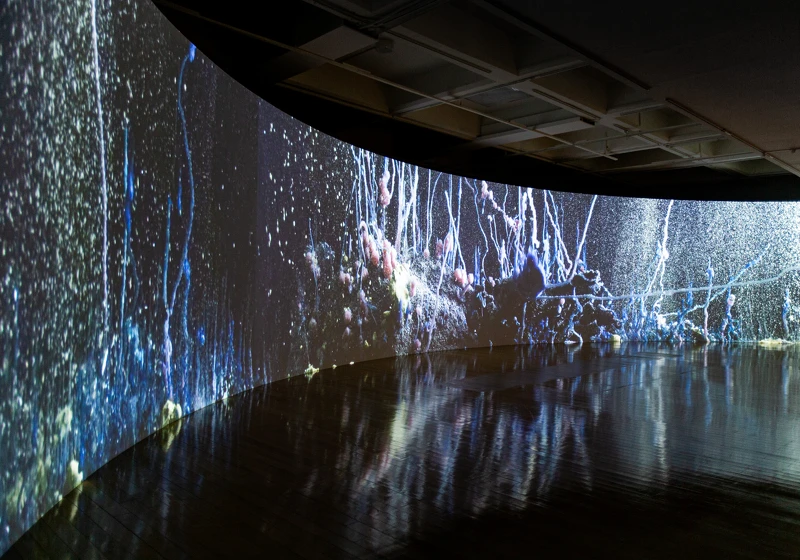 伊山.貝哈達,《預兆》,2020,錄像裝置,10分11秒。圖像由藝術家及臺北市立美術館提供。 伊山.貝哈達,《預兆》,2020,錄像裝置,10分11秒。圖像由藝術家及臺北市立美術館提供。