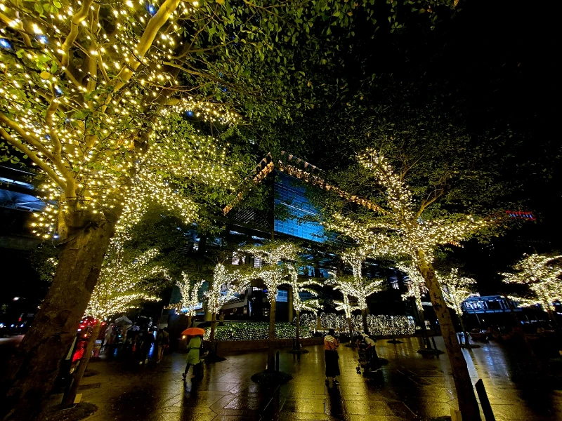 台北101耶誕燈海 台北101耶誕燈海