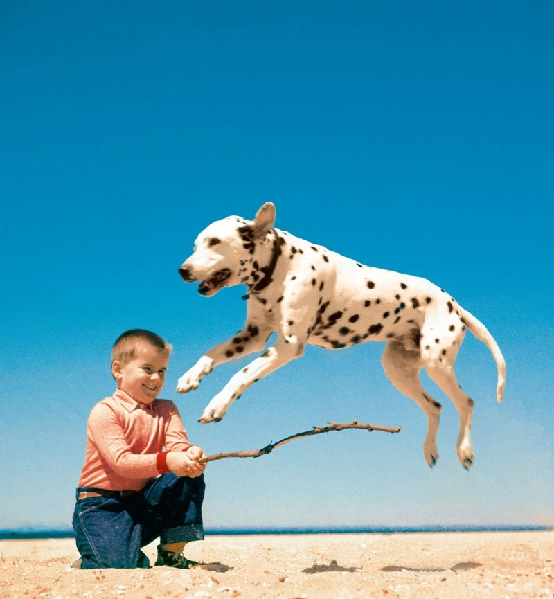 ©Estate of Walter Chandoha ©Estate of Walter Chandoha