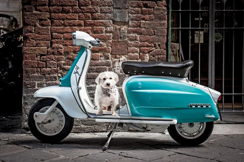 Elena Lusenti, 2016, Courtesy of the artist. Elena Lusenti, 2016, Courtesy of the artist.