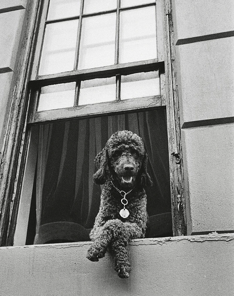 Todd Webb, 79th Street, New York, 1952, Courtesy Yancey Richardson Gallery, New York. Todd Webb, 79th Street, New York, 1952, Courtesy Yancey Richardson Gallery, New York.