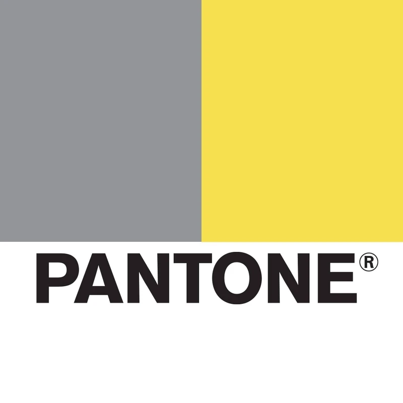 Pantone 2021年度代表色極致灰(左)、亮麗黃(右) Pantone 2021年度代表色極致灰(左)、亮麗黃(右)