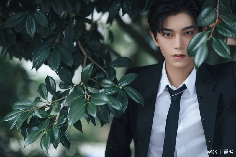 Photo/丁禹兮微博 Photo/丁禹兮微博