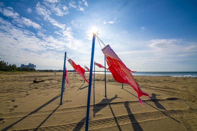 逆風魚飄 逆風魚飄