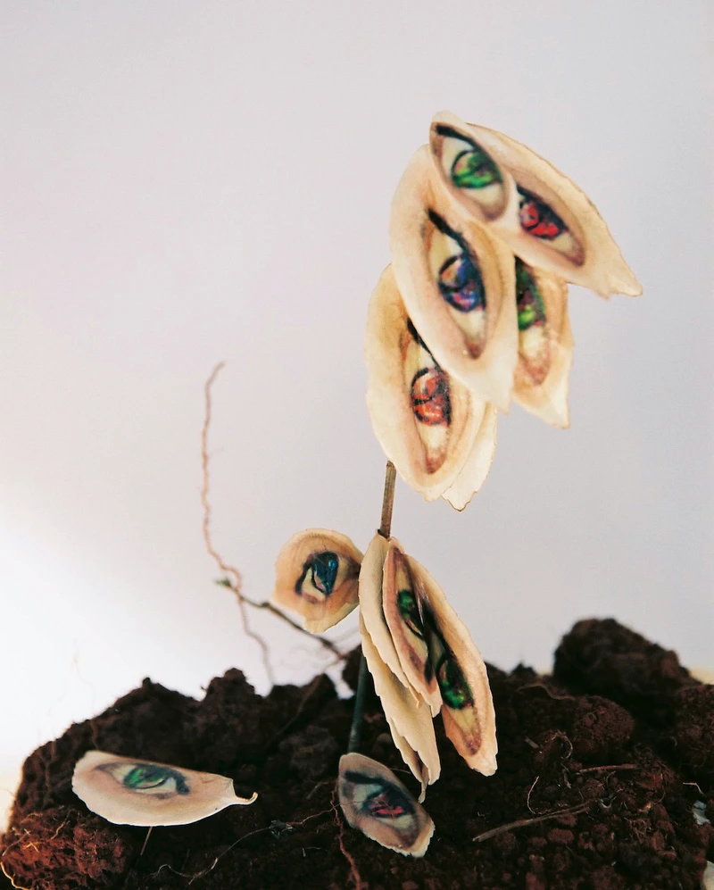 〈那一葉，我們眼神交會Making eye contact with leaves〉，江宥儀