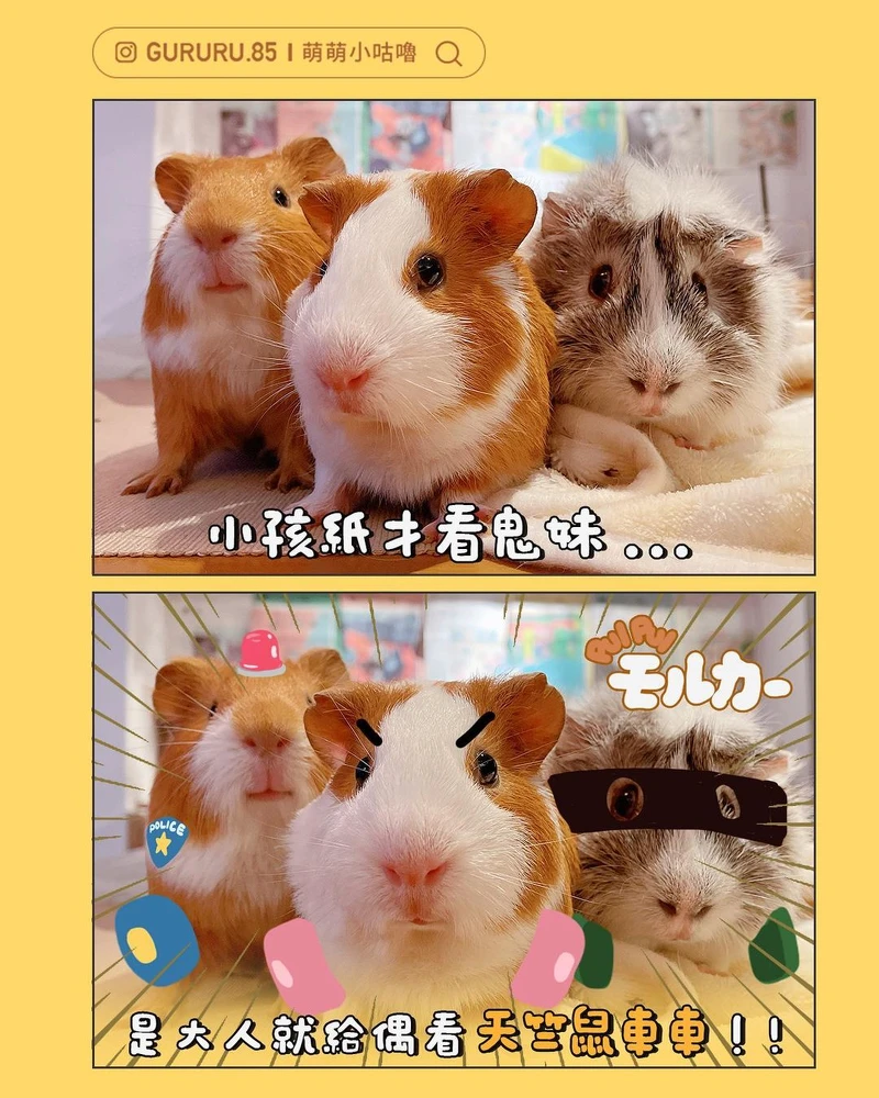 IG@gururu.85萌萌小咕嚕 IG@gururu.85萌萌小咕嚕