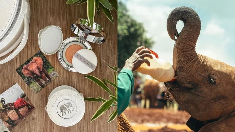 圖片取材IG@j_edition_ 圖片取材IG@j_edition_