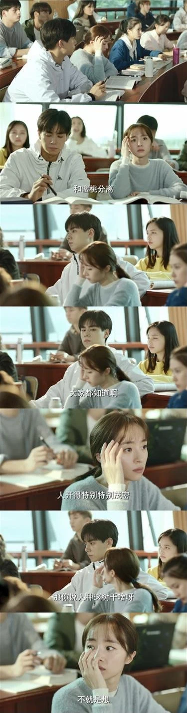 Photo／暗戀橘生淮南官方微博