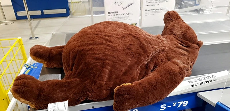 Photo/Twitter@REINIUM3 Photo/Twitter@REINIUM3