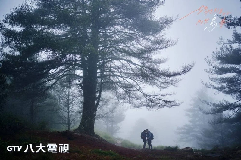 她們創業的那些鳥事