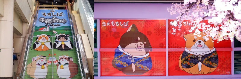 Global Mall獨家合作日本「忠犬麻糬柴犬」，和服裝、乳牛裝首度在台灣登場