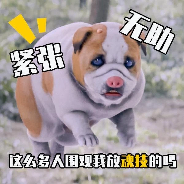 Photo／斗羅大陸微博