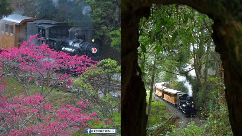 「漫步在雲端的阿里山授權」臉書粉絲團授權 「漫步在雲端的阿里山授權」臉書粉絲團授權