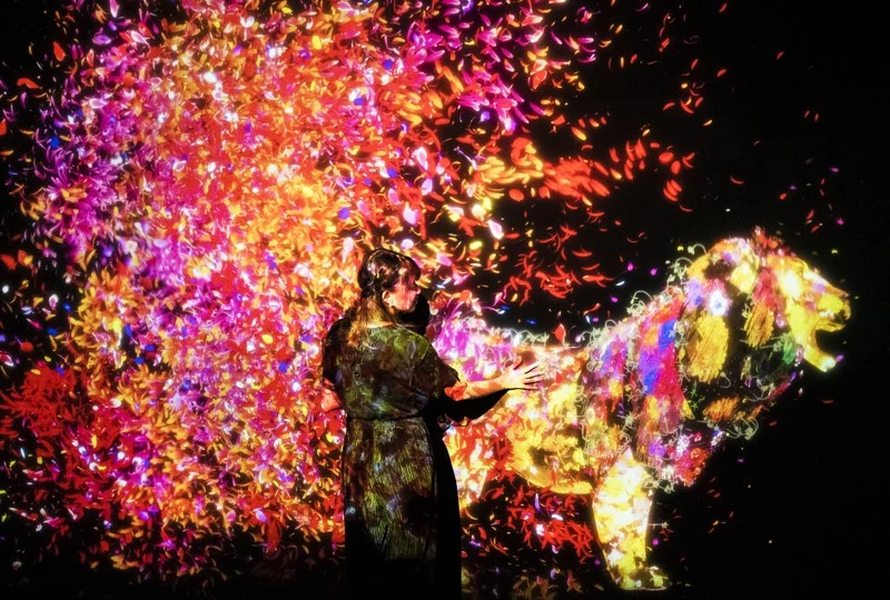 Photo / futurepark.teamlab.art Photo / futurepark.teamlab.art