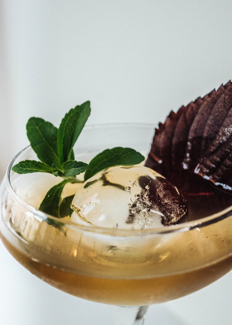 禁止酒駕,未滿18歲請勿飲酒 禁止酒駕,未滿18歲請勿飲酒