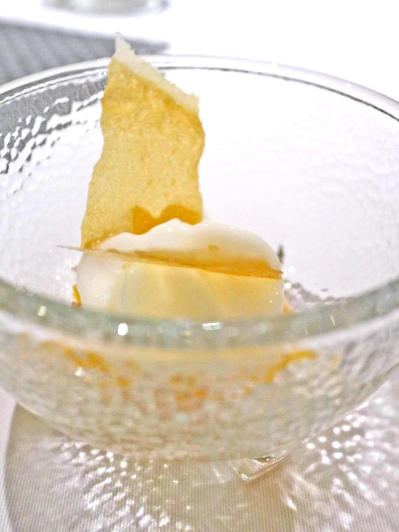 前甜點:柑橘與檸檬,新鮮柑橘、薄荷、柳橙泡沫。 前甜點:柑橘與檸檬,新鮮柑橘、薄荷、柳橙泡沫。