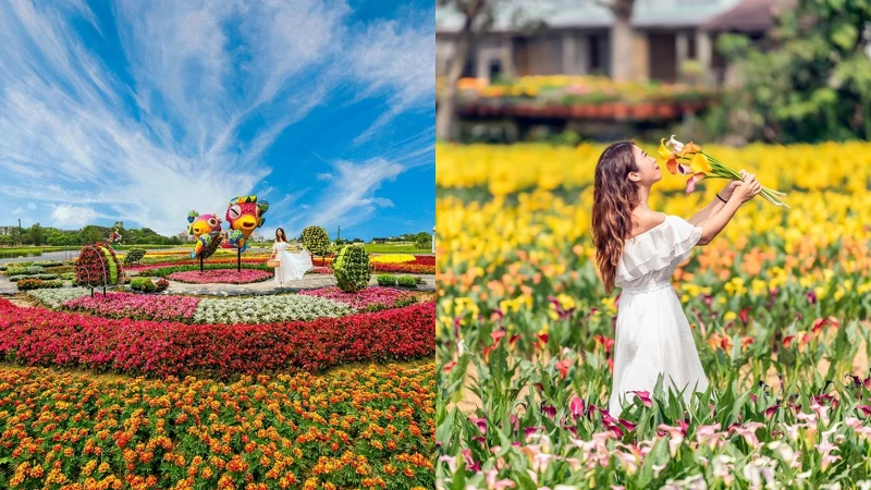 Photo／IG@molly888666