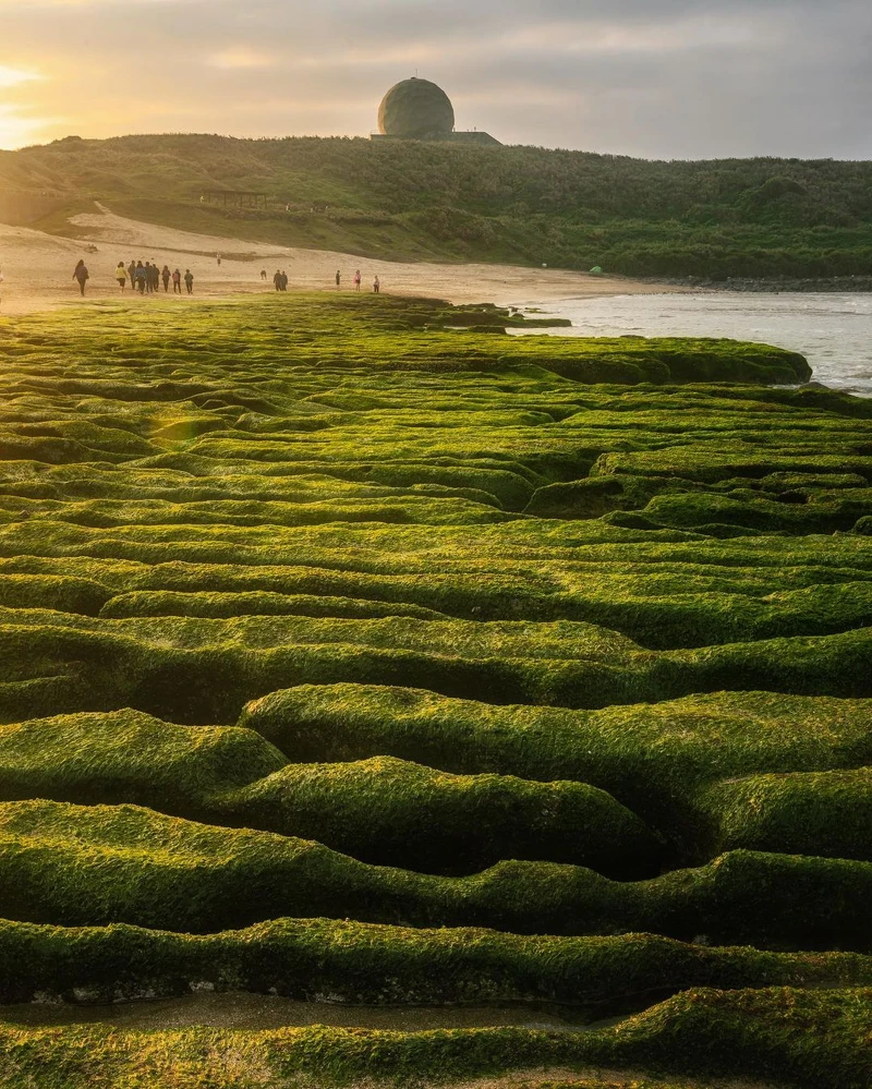 Photo／IG@taiwan_explorer2019授權提供