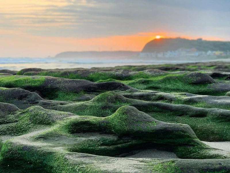 Photo／IG@bibibiss_授權提供