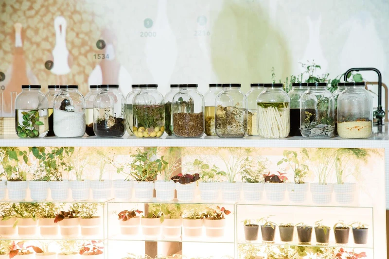 17個地域便有17個故事在產出17漬物的滋味。(照片來源:種籽設計) 17個地域便有17個故事在產出17漬物的滋味。(照片來源:種籽設計)