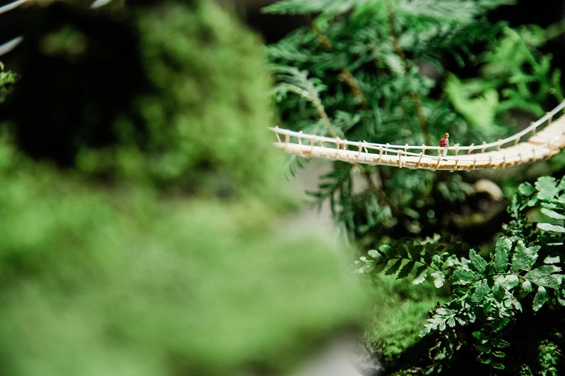 (照片來源:種籽設計) (照片來源:種籽設計)