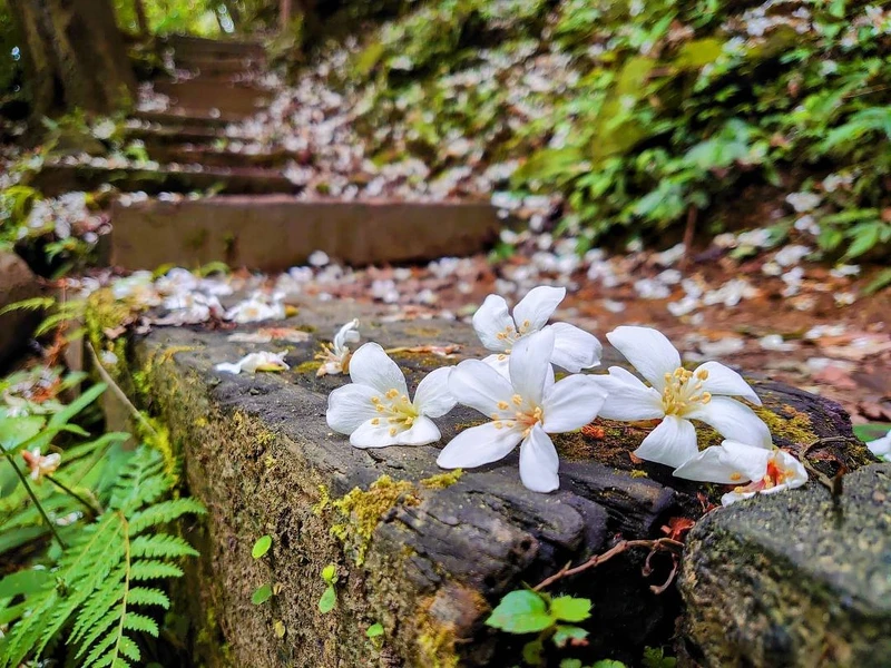 Photo/IG@sensesstir授權提供 Photo/IG@sensesstir授權提供