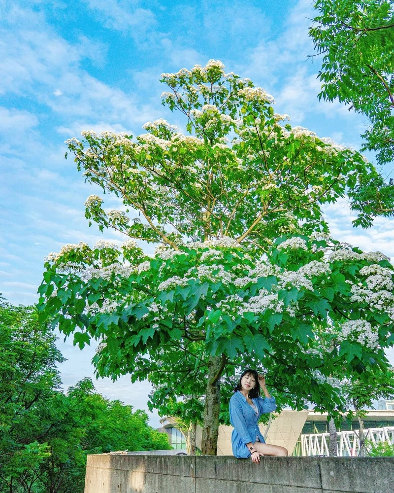 Photo/IG@tpo5088授權提供 Photo/IG@tpo5088授權提供