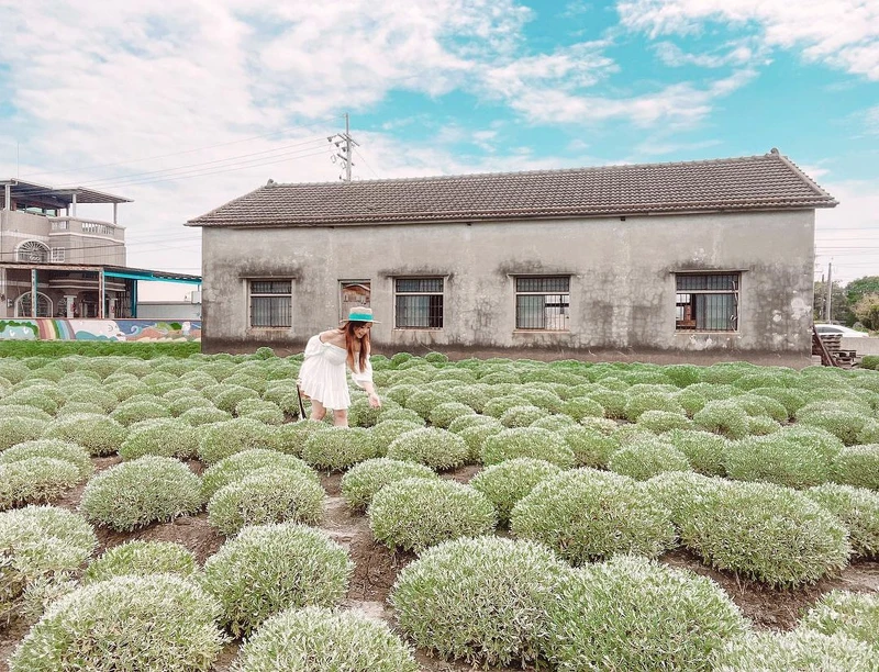 IG@jennifer.tww 授權提供