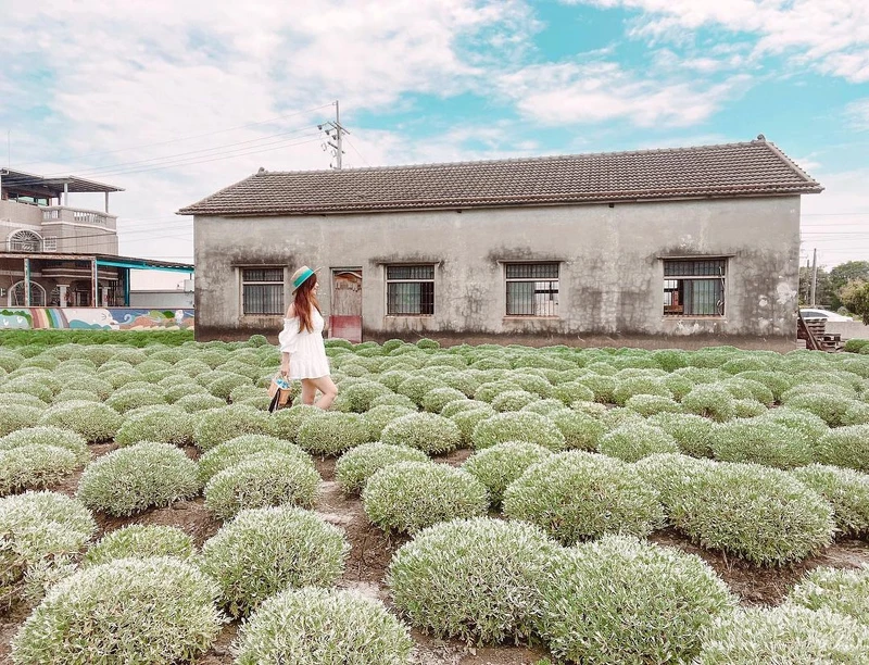 IG@jennifer.tww 授權提供